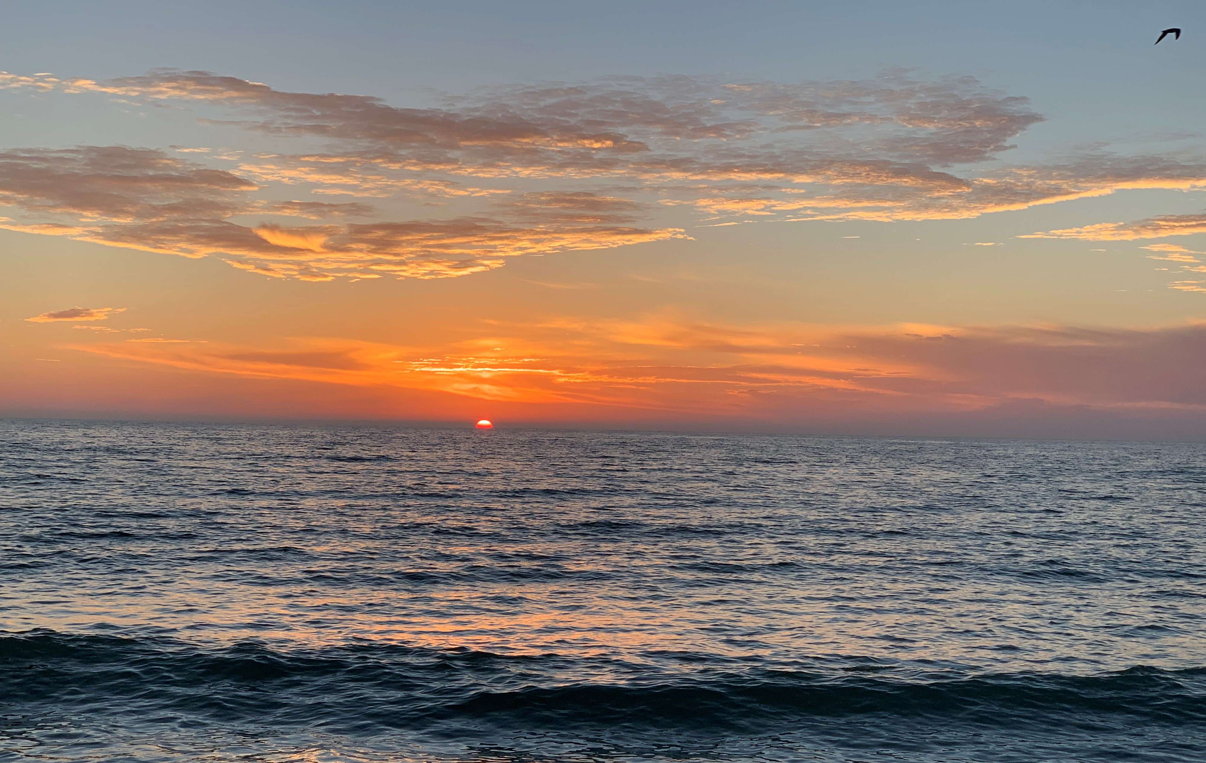 Clearwater sunset